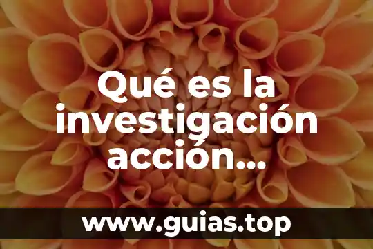 Por que es importante conocer los tipos de informaci贸n 8 Qu茅 es la investigaci贸n acci贸n informaci贸n general