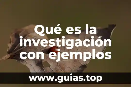Que es la justicia en metodologia de la investigacion 3 Qué es la investigación con ejemplos