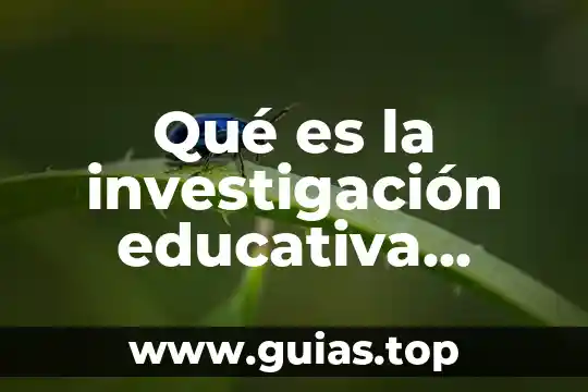 Qué es la visión de una investigación 8 Qué es la investigación educativa cuantitativa