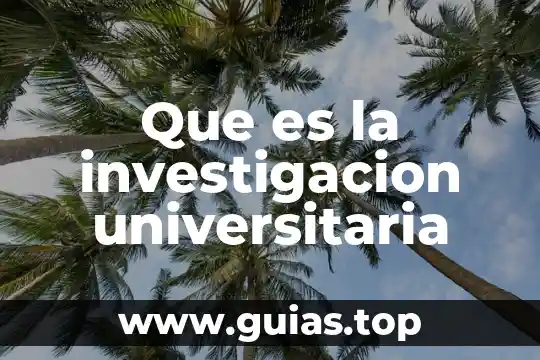 En una tesis que es limitacion es la investigacion 8 Que es la investigacion universitaria