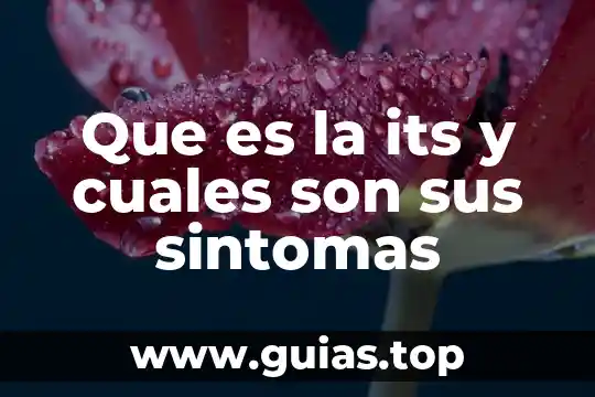 Qué es una ideología política y cuáles son 6 Que es la its y cuales son sus sintomas