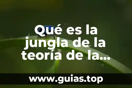 Qué es un manual de técnicas en administración 3 Qué es la jungla de la teoría de la administración