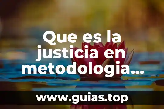 Que es una requision de investigacion 6 Que es la justicia en metodologia de la investigacion