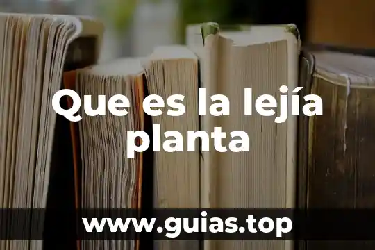 Que es lo que dice el número de reyolds 4 Que es la lejía planta