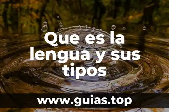 Investigar que es un adverbio y sus tipos 4 Que es la lengua y sus tipos