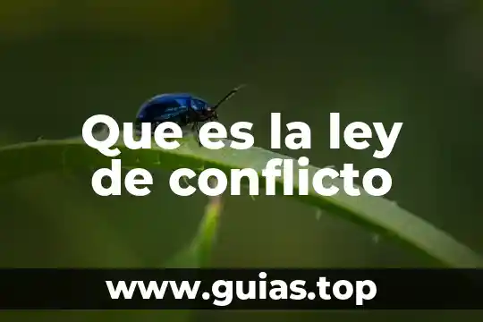 Que es ley de lavado de dinero 4 Que es la ley de conflicto