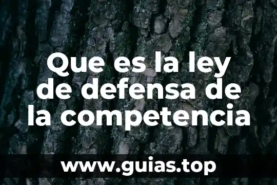 Que es planificar acciones para la defensa nacional 3 Que es la ley de defensa de la competencia