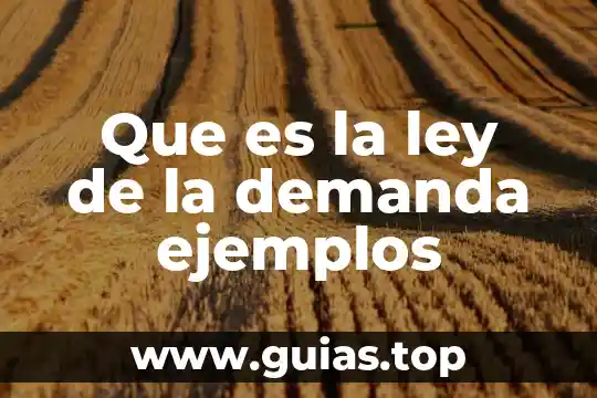 Que es antaño concepto 7 Que es la ley de la demanda ejemplos