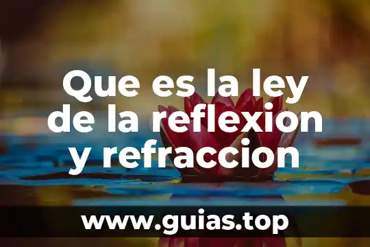 Qué es una planta depuradora de aguas 3 Que es la ley de la reflexion y refraccion