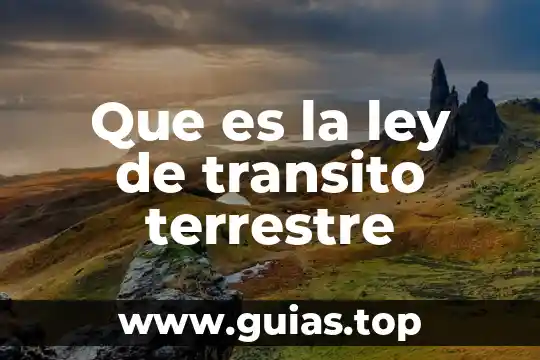 Que es lo que hace un transito 3 Que es la ley de transito terrestre