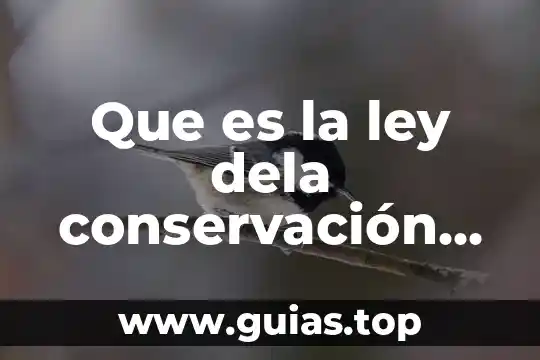 Que es la garantia prendaria que ley las rige 8 Que es la ley dela conservación dela cantidad de movimiento