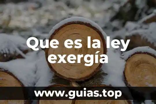 Que es ser liderazgo ejemplo 5 Que es la ley exergía