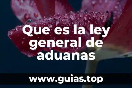 Que es procuraduría general de justicia del estado de méxico 7 Que es la ley general de aduanas
