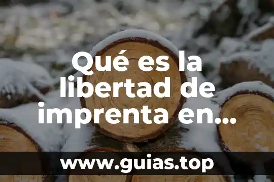 Que es la libertad de informaci贸n 3 Qu茅 es la libertad de imprenta en M茅xico