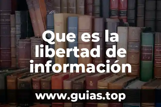 Según Federico Nietzsche que es la libertad 7 Que es la libertad de información