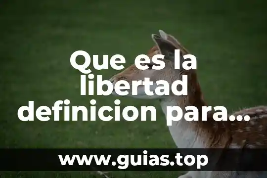 Qué es una chancla definición 8 Que es la libertad definicion para niños