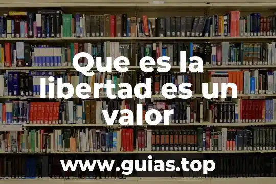 Qué es el valor mínimo de una función 7 Que es la libertad es un valor
