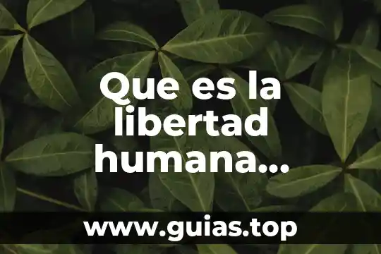 Que es el subjetividad humana 4 Que es la libertad humana definición y antecedentes