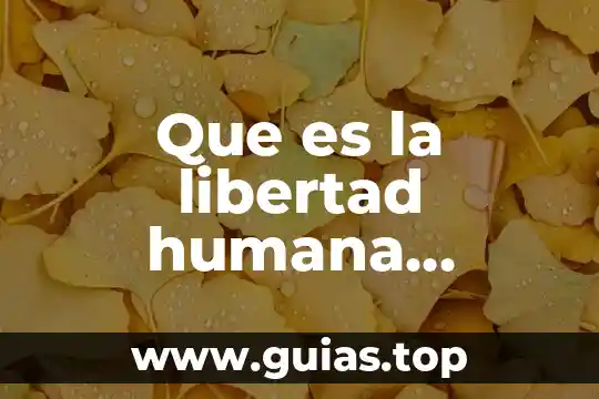 Que es el ensayo de fuego fracof 5 Que es la libertad humana ensayo