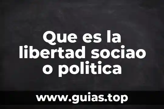 Libro que es la política de hannah arendt 3 Que es la libertad sociao o politica