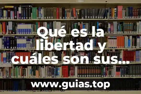 Qué es la efsa y cuáles son sus funciones 3 Qué es la libertad y cuáles son sus límites