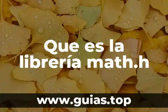 Que es el tri-vu-sol pediatrico 5 Que es la librería math.h