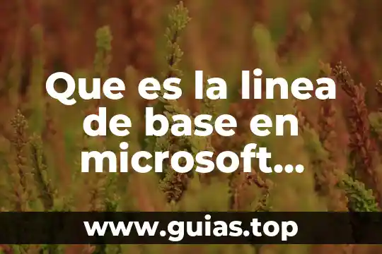 Que es una biblioteca interactiva en linea 3 Que es la linea de base en microsoft project