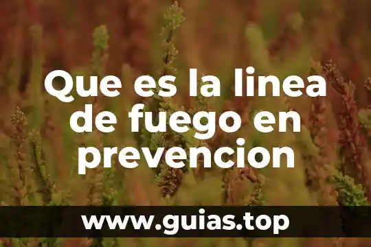 Qué es prevención en salud 6 Que es la linea de fuego en prevencion