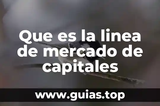 Que es el mercado de dinero y de capitales 5 Que es la linea de mercado de capitales