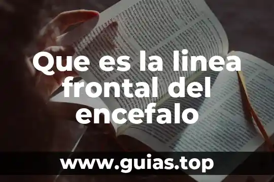 Que es la linea frontal del encefalo