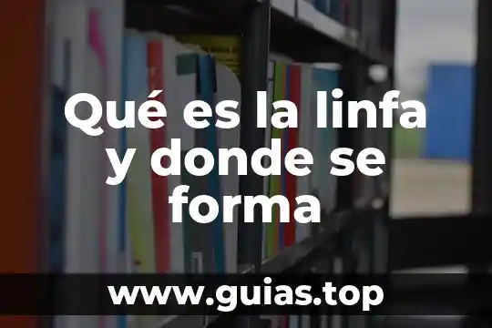 Examen neurodiagnóstico qué es cómo se forma 6 Qué es la linfa y donde se forma