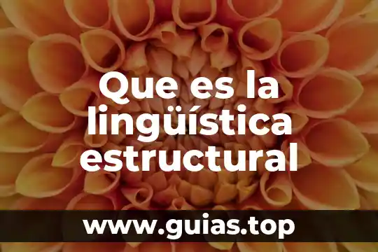 Lógica aristotélica que es 6 Que es la lingüística estructural