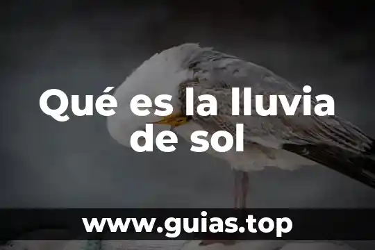 Que es planeación a partir de una lluvia de ideas 3 Qué es la lluvia de sol