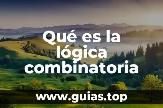 Qué es un argumento principal en lógica 6 Qué es la lógica combinatoria
