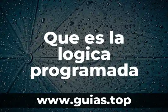 Qué es la lógica combinatoria en electrónica 6 Que es la logica programada