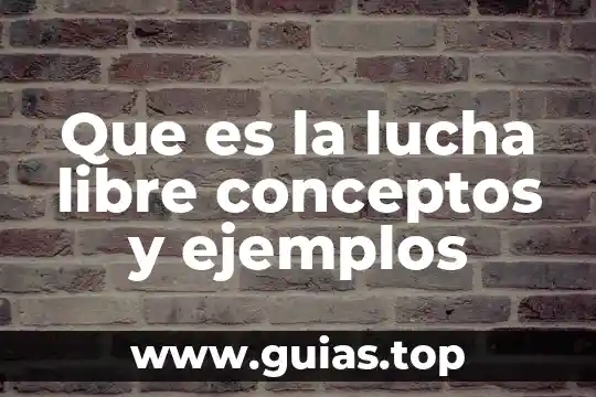 Que es relacion entre conceptos 7 Que es la lucha libre conceptos y ejemplos