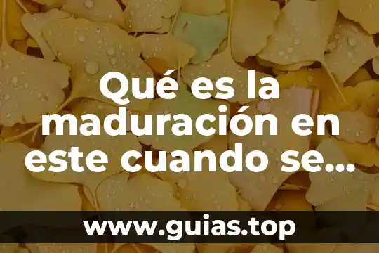 Que es el ímpuesto de extradicion ycuando aplica 3 Qué es la maduración en este cuando se aplica