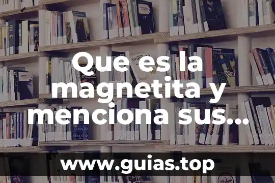 Qué es un lector tipos y características 8 Que es la magnetita y menciona sus caracteristicas