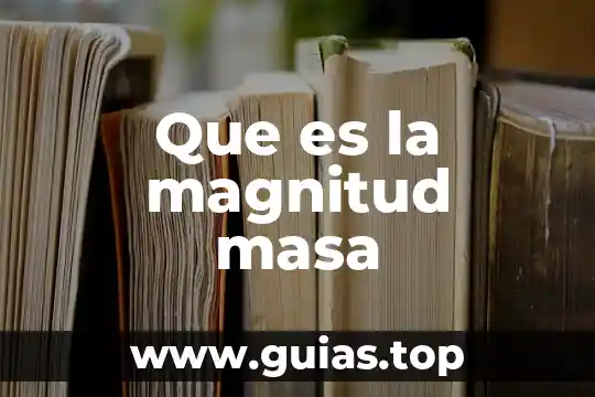 Qué es alpargatas concepto 3 Que es la magnitud masa