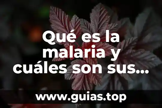 Que es temperamento y cuales son sus tipos 6 Qué es la malaria y cuáles son sus consecuencias