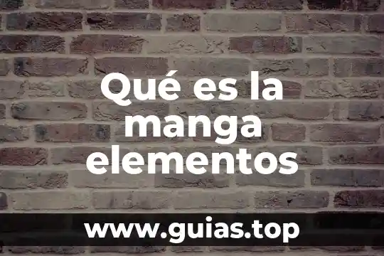 Que es una ecuación los elementos que lo conforman 8 Qué es la manga elementos