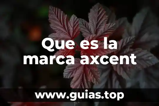 Que es la modulacion y sus tipos 3 Que es la marca axcent