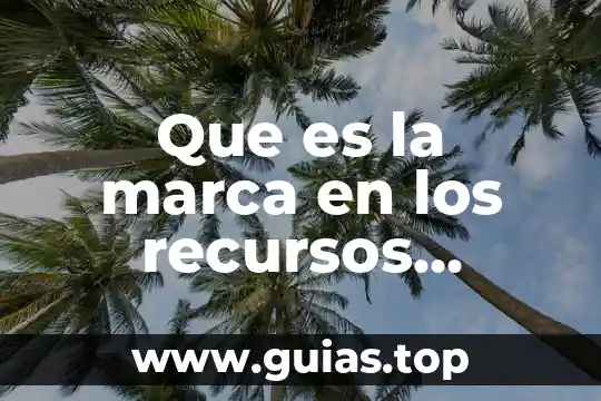 Que es la marca supreme 3 Que es la marca en los recursos verbales