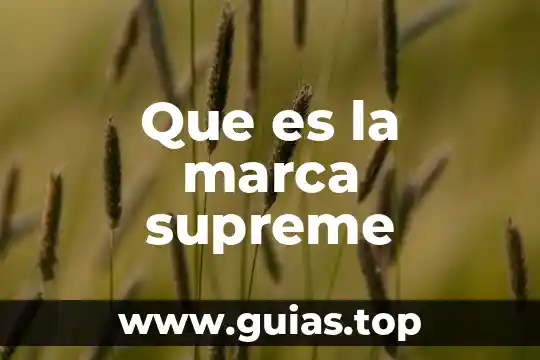 Promotor de marca que es 5 Que es la marca supreme