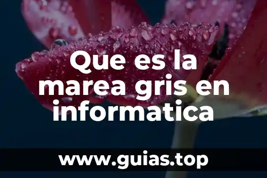 Que es la marea gris en informatica