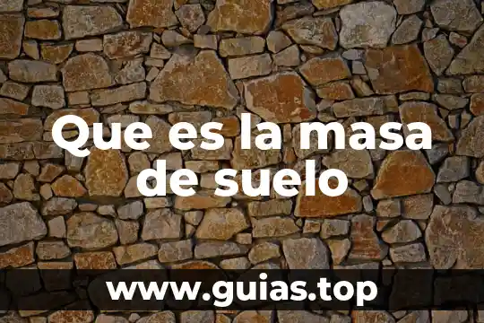 Qué es catarsis en filosofía 4 Que es la masa de suelo