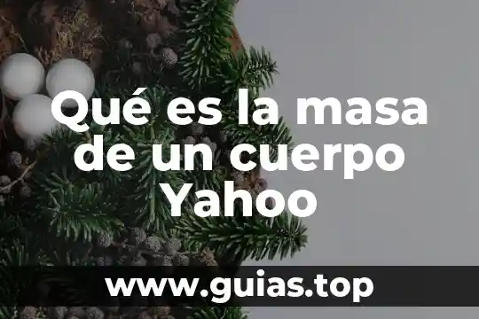 Que es insumo yahoo 7 Qué es la masa de un cuerpo Yahoo