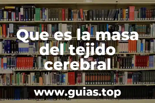 Que es la corteza cerebral y para que sirve 6 Que es la masa del tejido cerebral