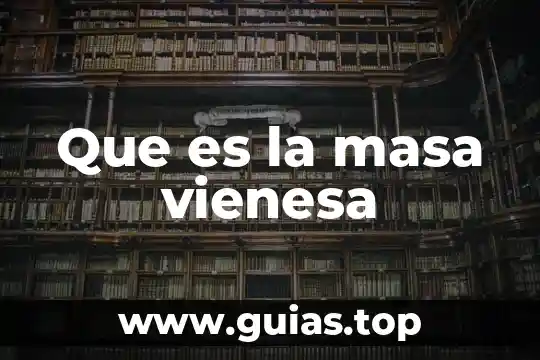 Qué es plurianual concepto 5 Que es la masa vienesa