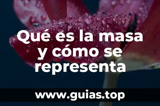 Qué es el número de Avogadro y cómo se representa 8 Qué es la masa y cómo se representa